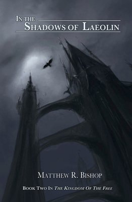 Dark ominous fantasy sky, a raven flies over a black tower